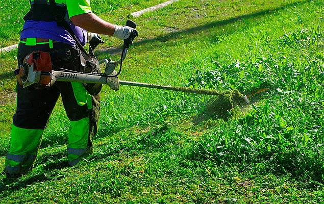 Wadri servicios en gral.