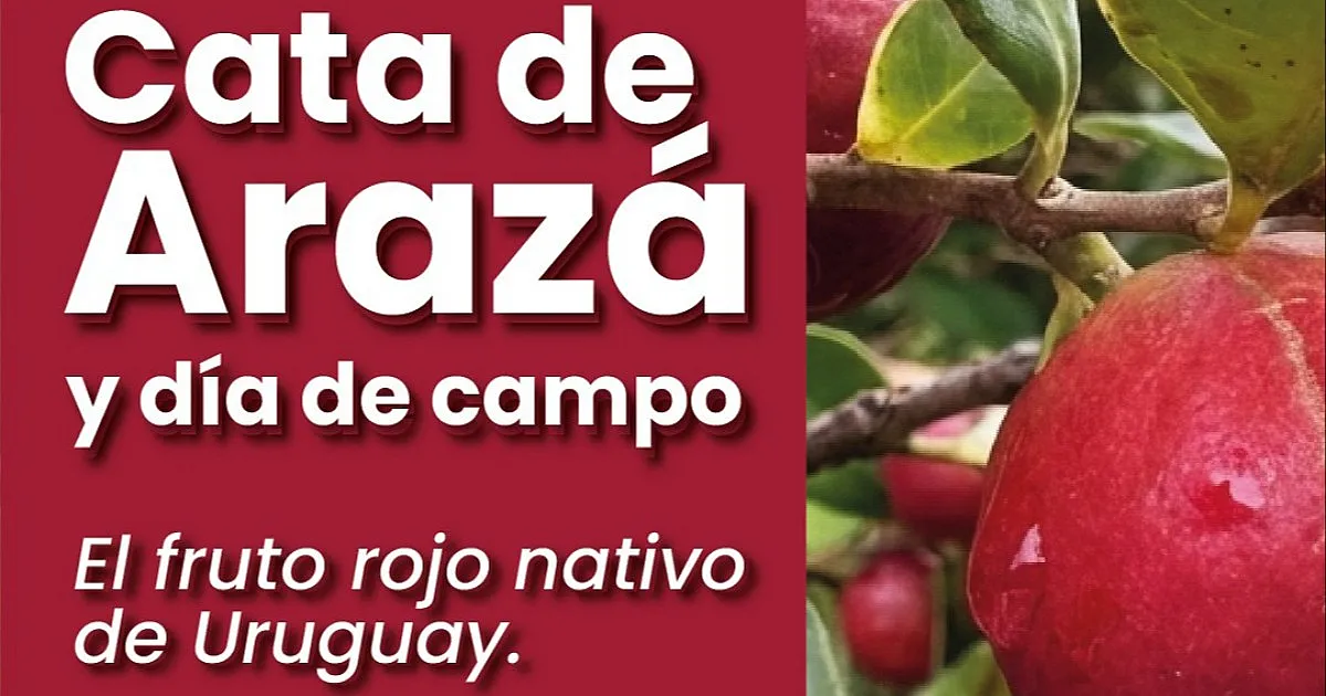 Cata de Arazá y día de campo