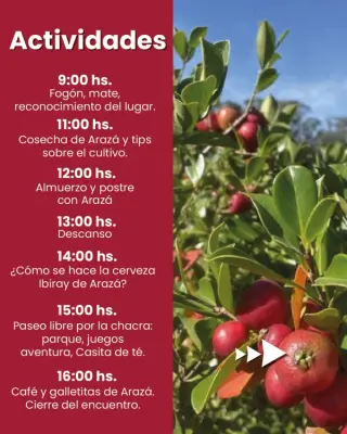 Cata de Arazá y día de campo